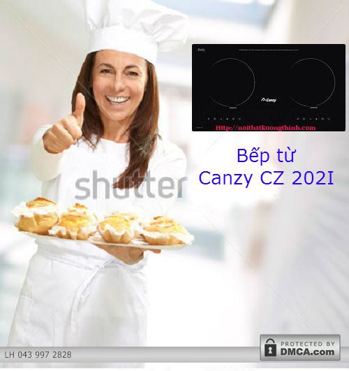 Tìm hiểu về những tiện ích thú vị của bếp từ Canzy CZ 202I